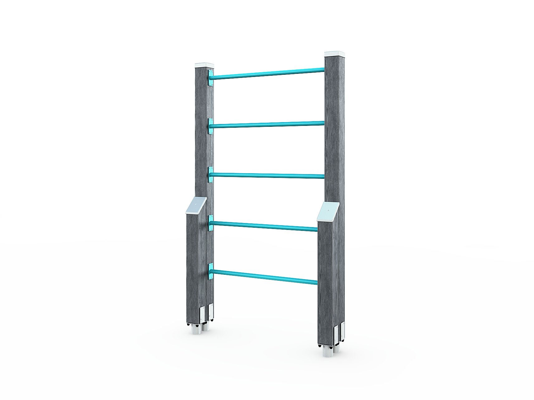 LADDERS
