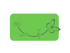 BUTTERFLY LIFE CYCLE SANDBOX TABLE