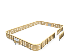 ARENA